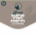 ⁦הנריס מזון טבעי קפוא לכלבים הודו וירקות - 6 ק"ג⁩ – תמונה ⁦2⁩