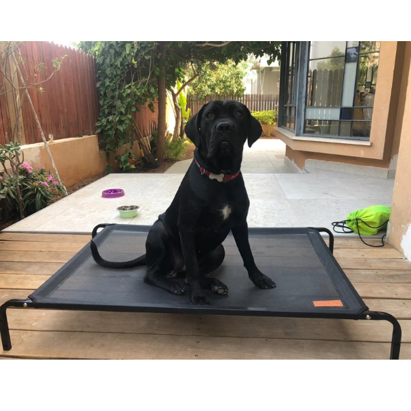 מיטה מוגבהת dogslife טרמפולינה - שחור – תמונה 2