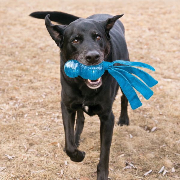 ⁦קונג Wubba Comet וובה - XL⁩ – תמונה ⁦2⁩
