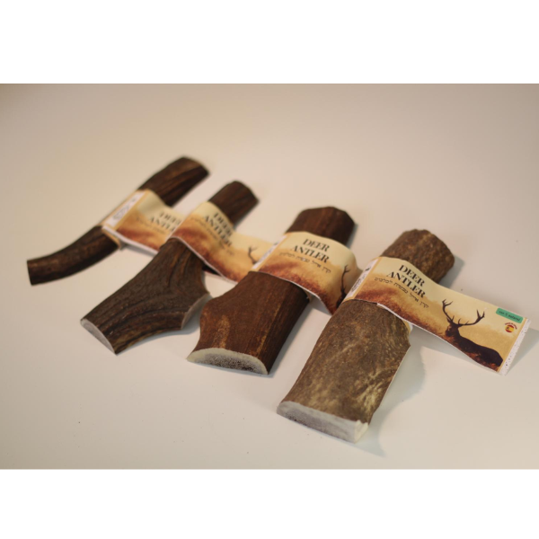 ⁦קרן אייל אדום חצויה 100% טבעי - L⁩ – תמונה ⁦2⁩