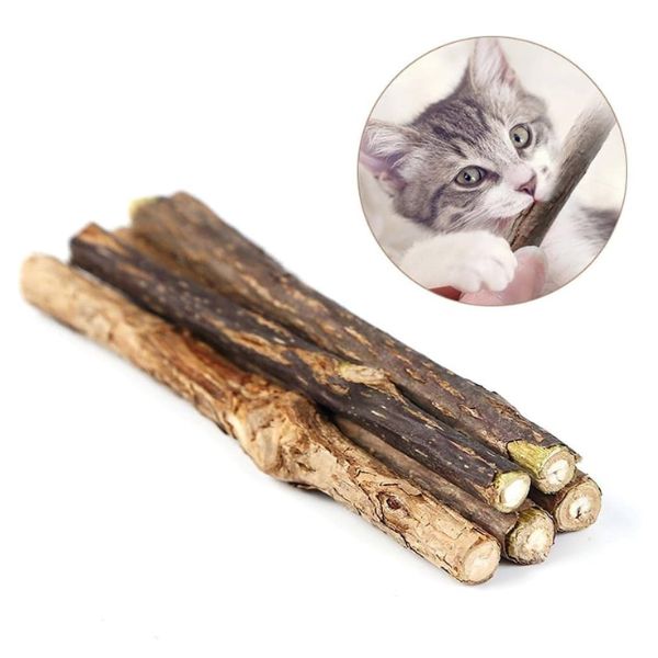 ⁦KING CAT - ענפי קטניפ אורגניים לחתולים⁩ – תמונה ⁦4⁩