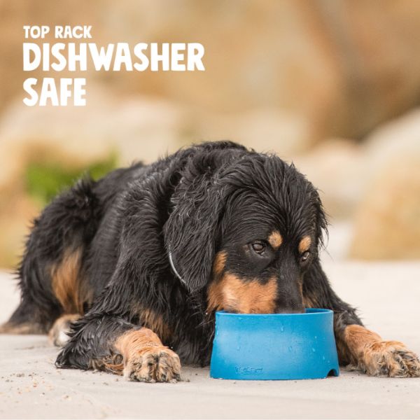⁦קערת האכלה אקולוגית לכלבים – West Paw Seaflex⁩ – תמונה ⁦2⁩
