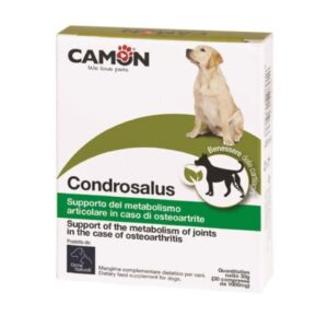 Condrosalus גלוקוזמין לכלבים camon