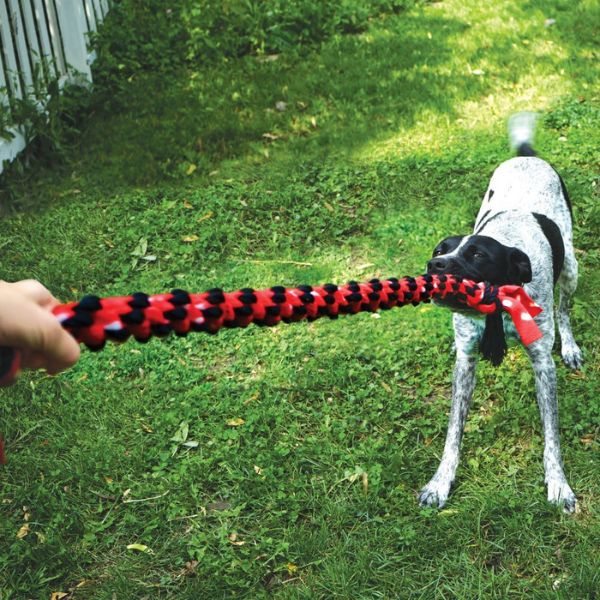 קונג סיגניצר צעצוע חבל כפול למשיכה KONG Signature Tug Toy – תמונה 2