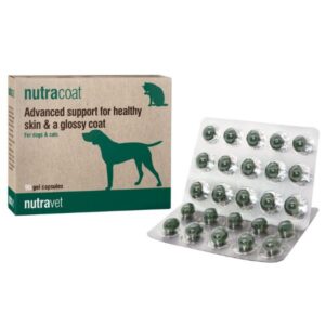 Nutravet נוטרה קאוט תוסף טבעי לבריאות ושיפור עור והפרווה לכלבים וחתולים -90 קפסולות