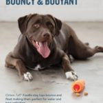 פלאנט גזר האכלה קשיח Outward Hound – תמונה 2