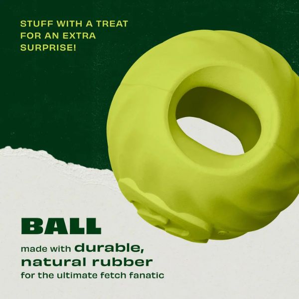 בנבון Bounce Ball כדור אינטראקטיבי מגומי טבעי – תמונה 3