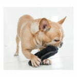 בובת פנתר שחור עמידה Small - Outward Hound – תמונה 2